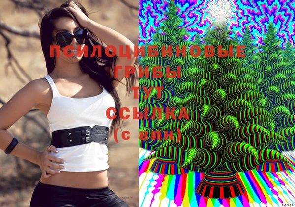 эйфоретик Алексин