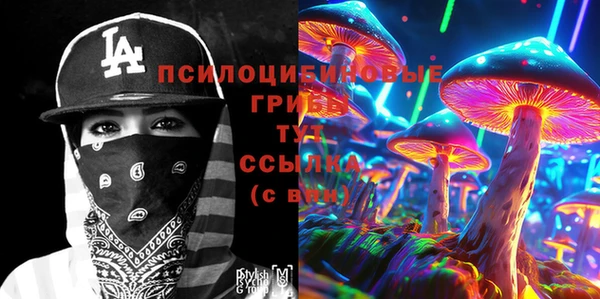 ECSTASY Алексеевка